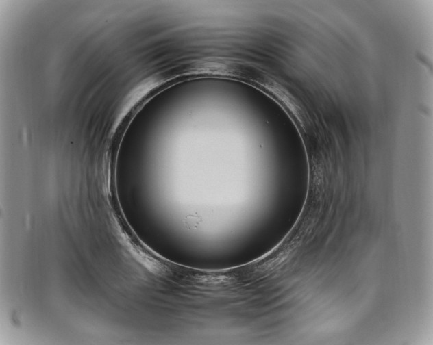 X0000098021131200803281328