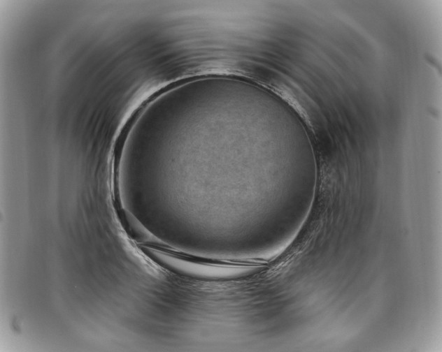 X0000098021132200803281328