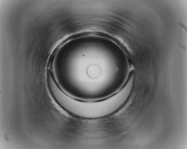 X0000098021134200803281328