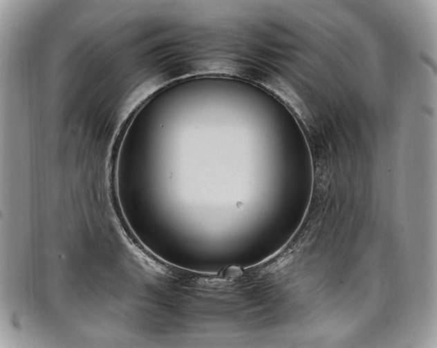 X0000098021135200803281328