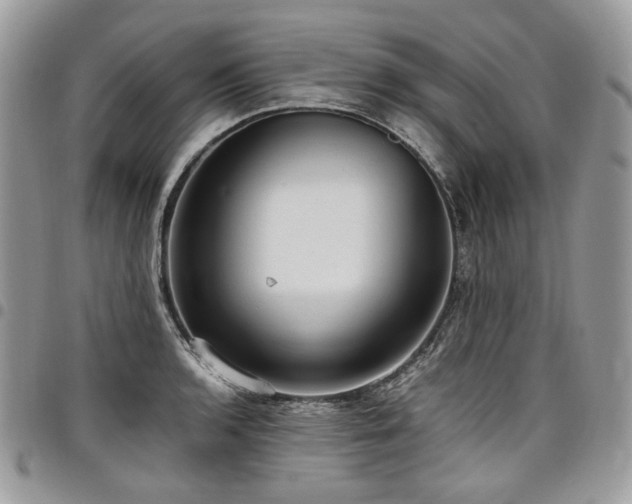 X0000098021136200803281328