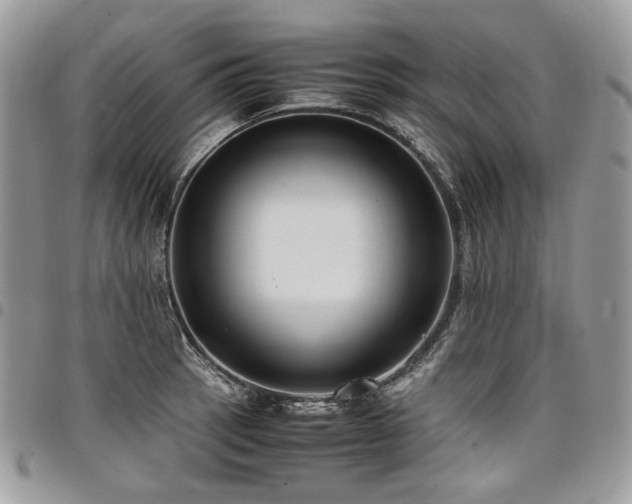 X0000098021137200803281328