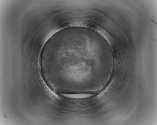 X0000098021141200803281328