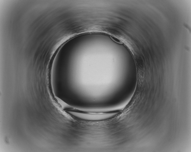 X0000098021142200803281328