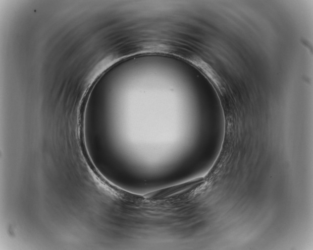 X0000098021143200803281329