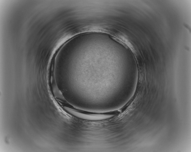 X0000098021144200803281329