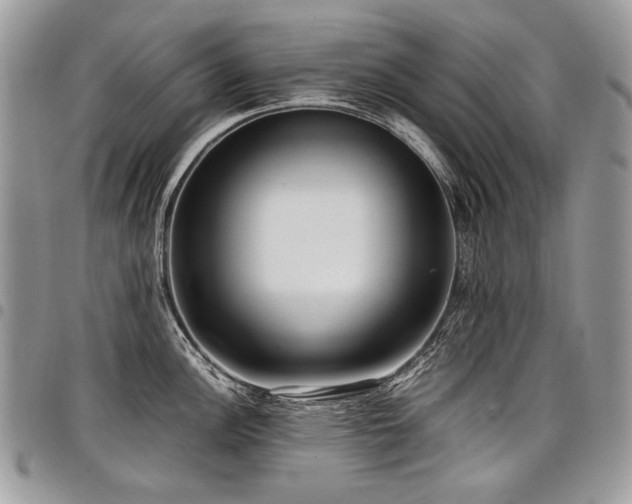 X0000098021148200803281329