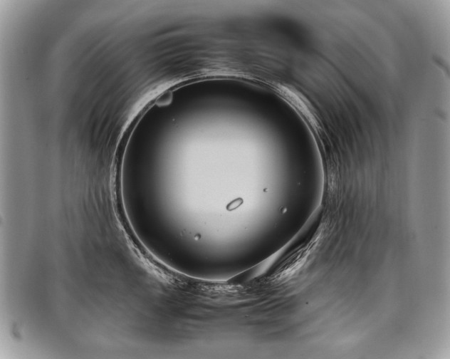 X0000098021149200803281329