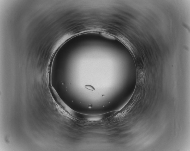 X0000098021151200803281329