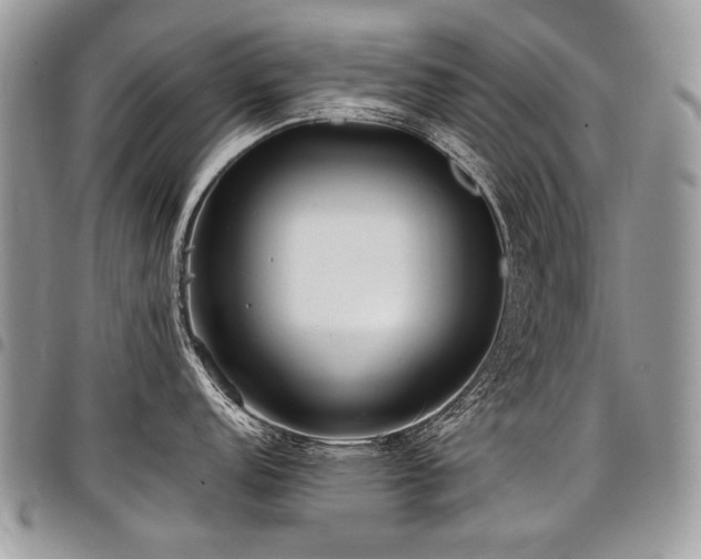 X0000098021152200803281329