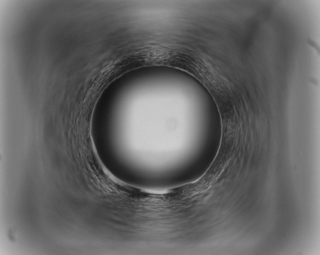 X0000098021153200803281328