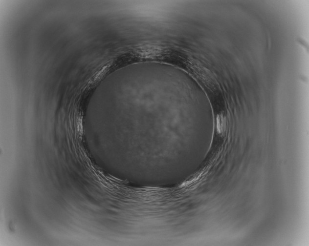 X0000098021155200803281328