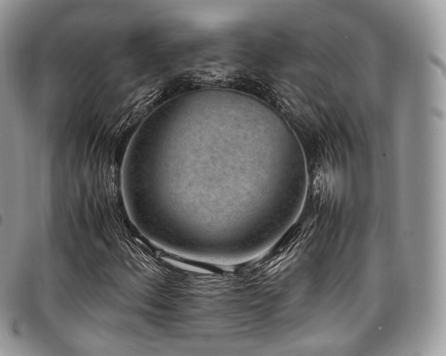 X0000098021156200803281328