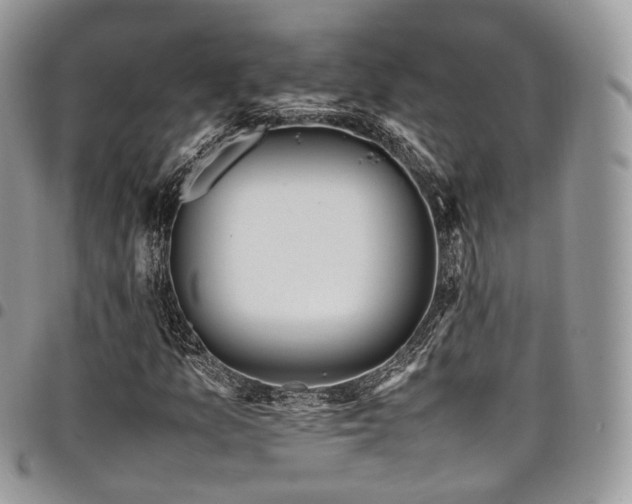 X0000098021157200803281328