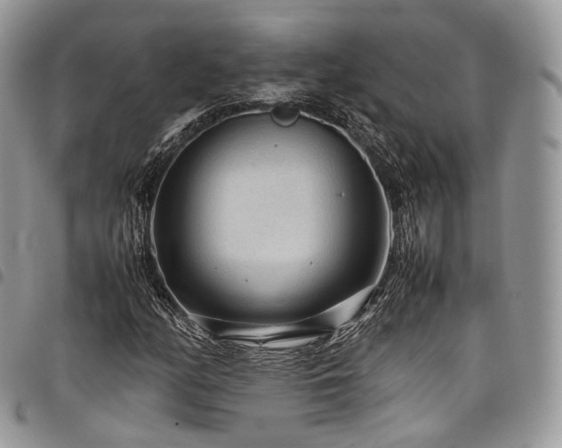 X0000098021158200803281328