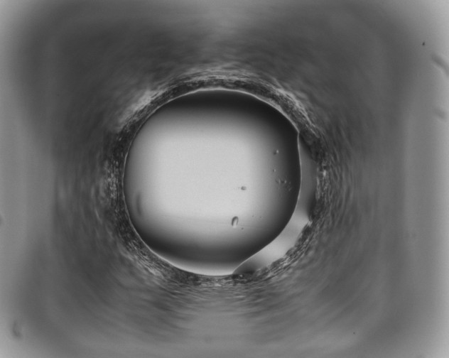 X0000098021159200803281328