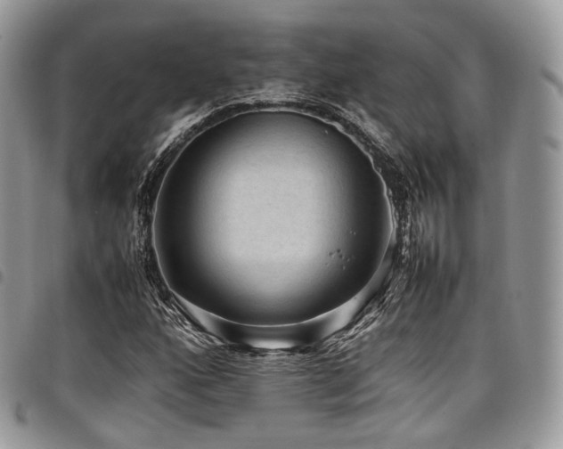 X0000098021160200803281328