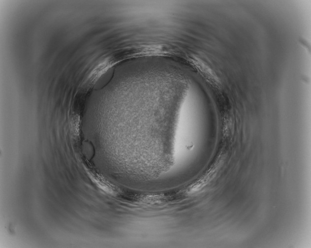 X0000098021161200803281328