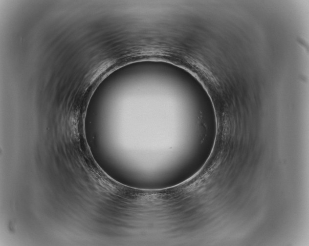 X0000098021162200803281328