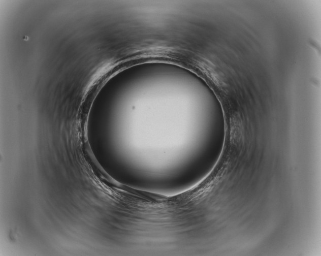 X0000098021164200803281328