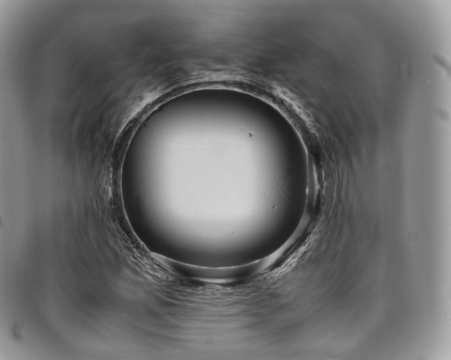 X0000098021165200803281328