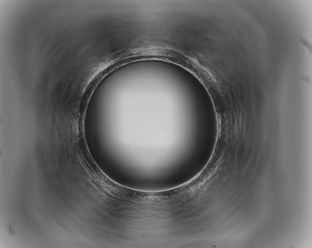 X0000098021166200803281328