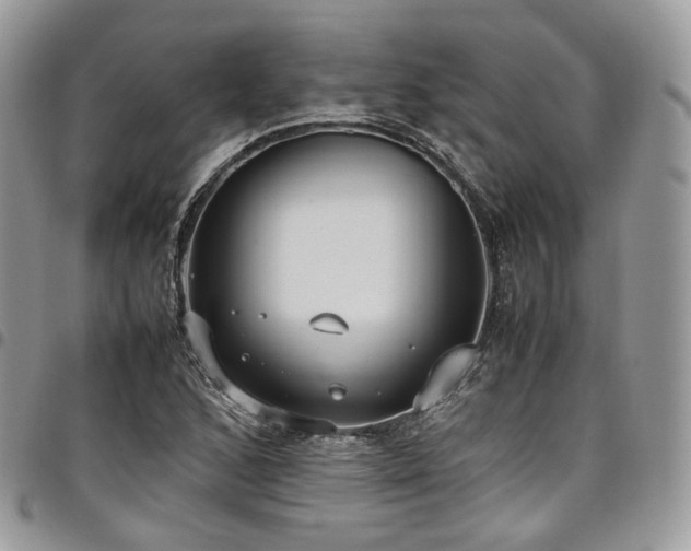 X0000098021168200803281328