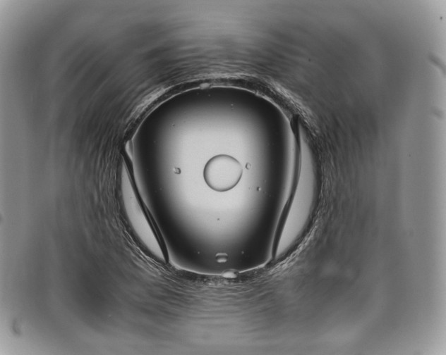 X0000098021169200803281328