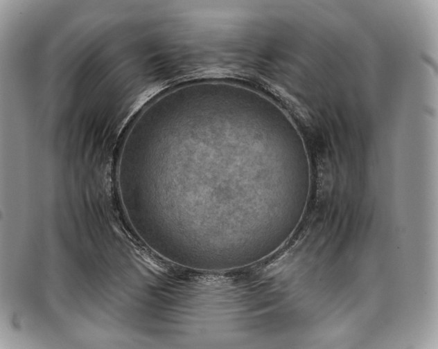 X0000098021170200803281328