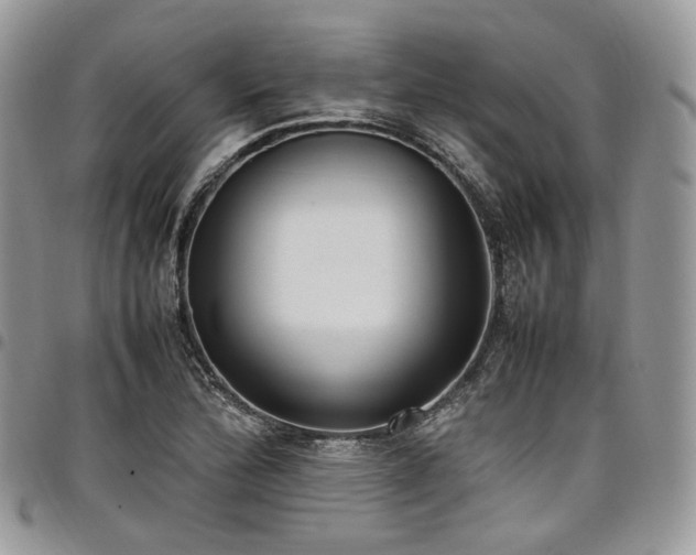 X0000098021172200803281328