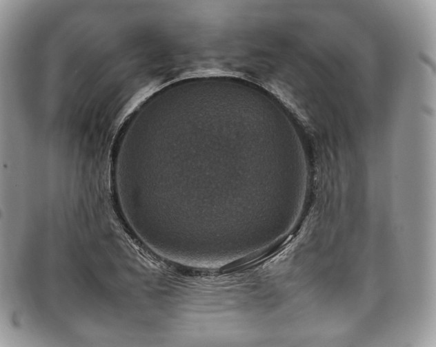 X0000098021173200803281328