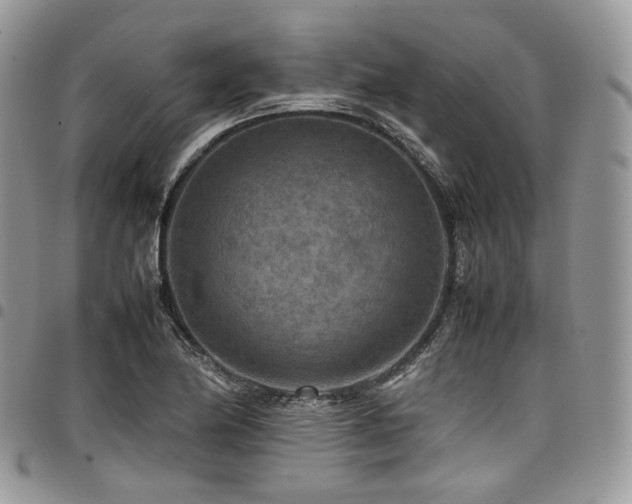 X0000098021174200803281328