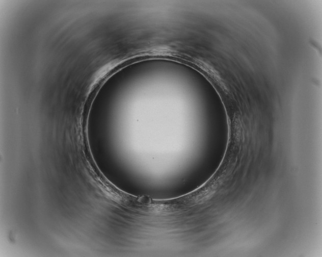 X0000098021176200803281328