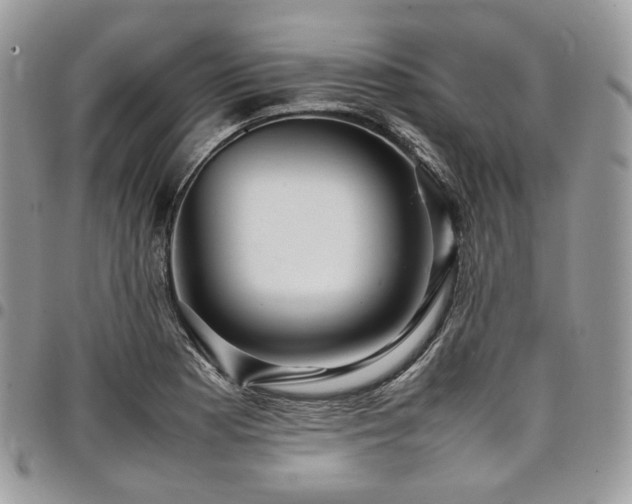 X0000098021177200803281328