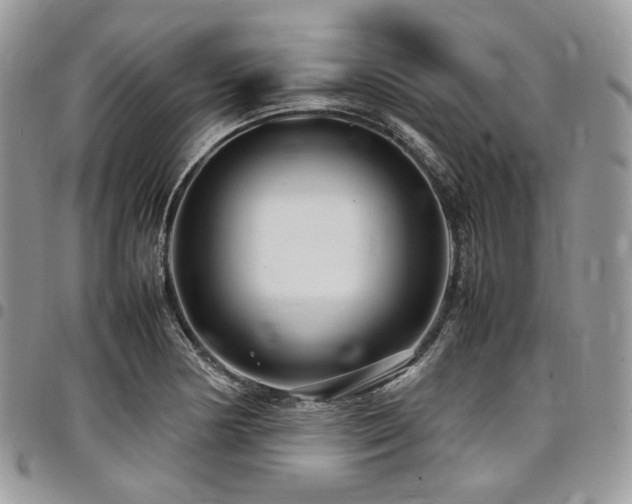 X0000098021178200803281328