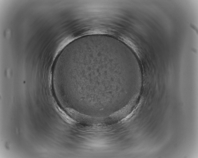 X0000098021179200803281328