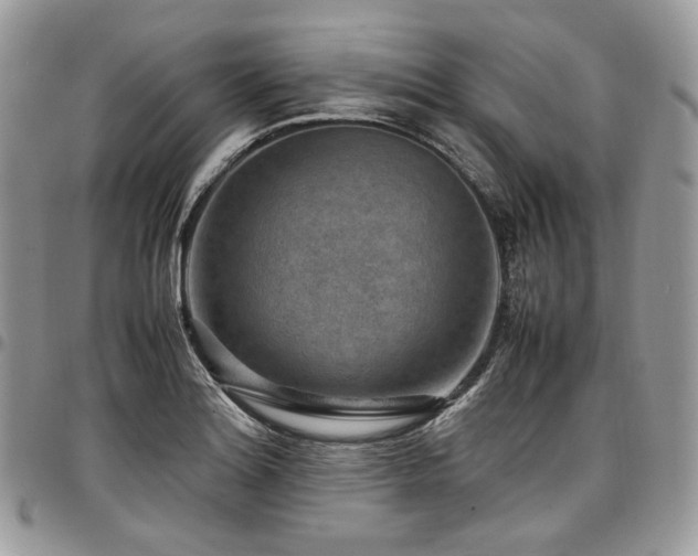 X0000098021180200803281328