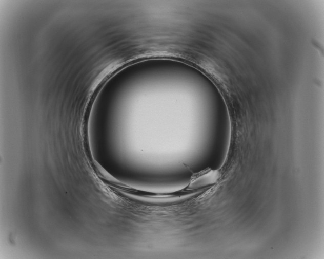 X0000098021181200803281328