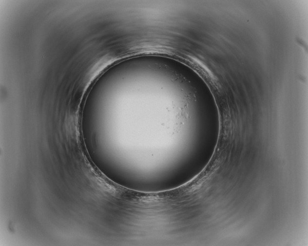 X0000098021182200803281328