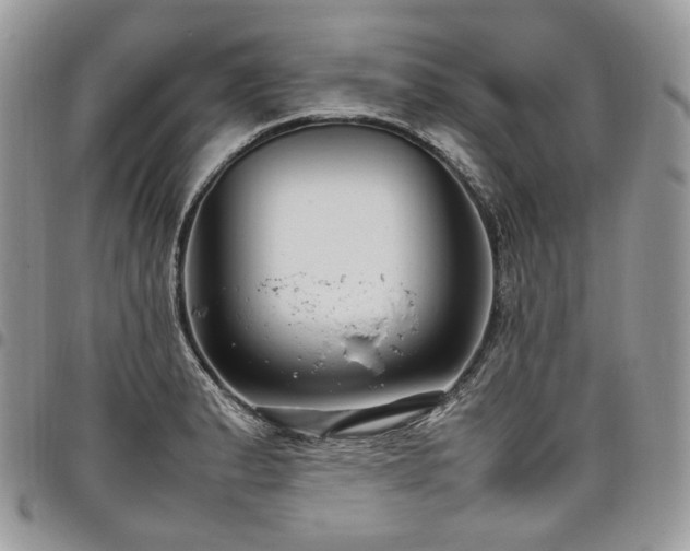 X0000098021183200803281328