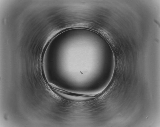 X0000098021184200803281328