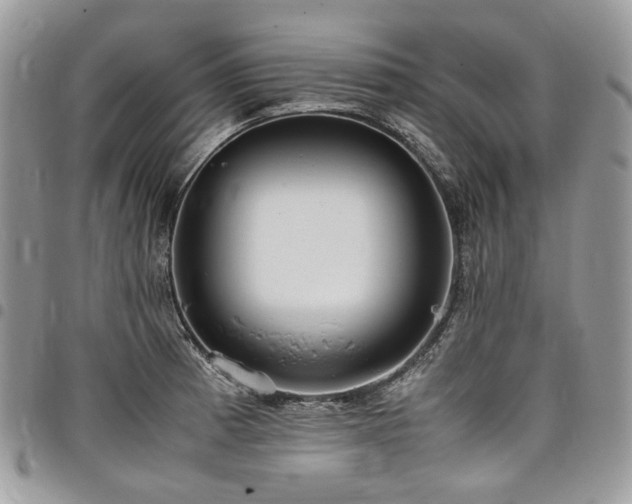 X0000098021185200803281328