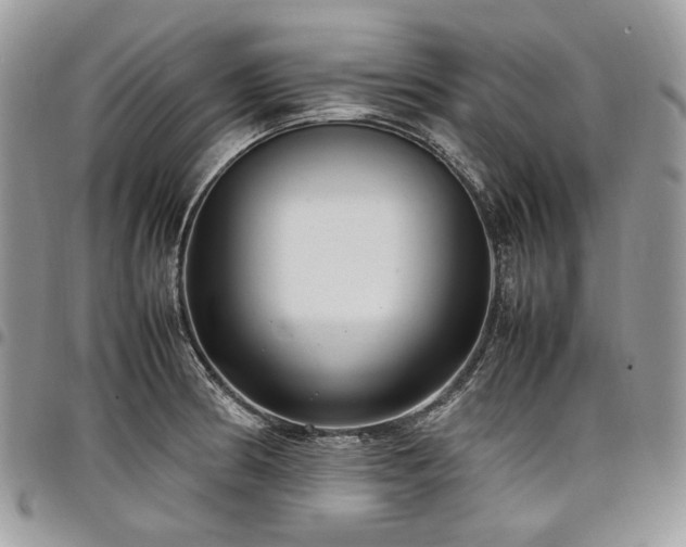 X0000098021186200803281328