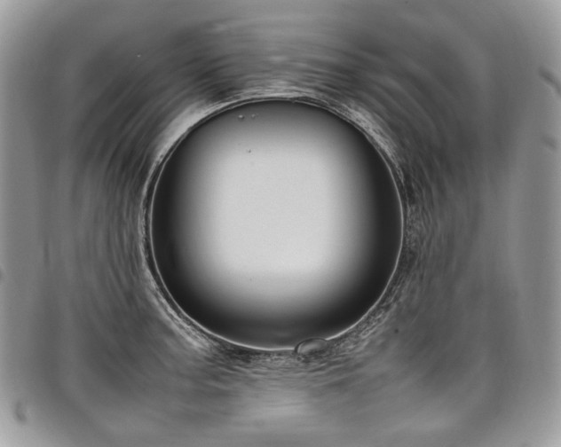 X0000098021187200803281327