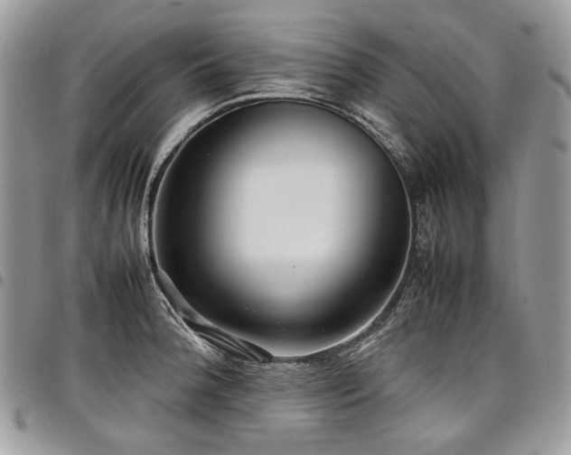 X0000098021188200803281327