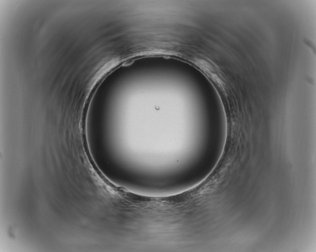 X0000098021189200803281327