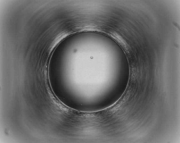 X0000098021190200803281327