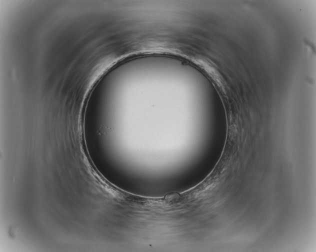 X0000098021191200803281327