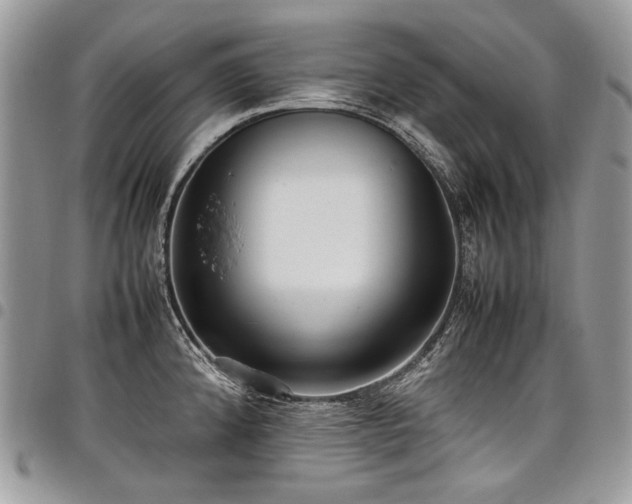 X0000098021192200803281327