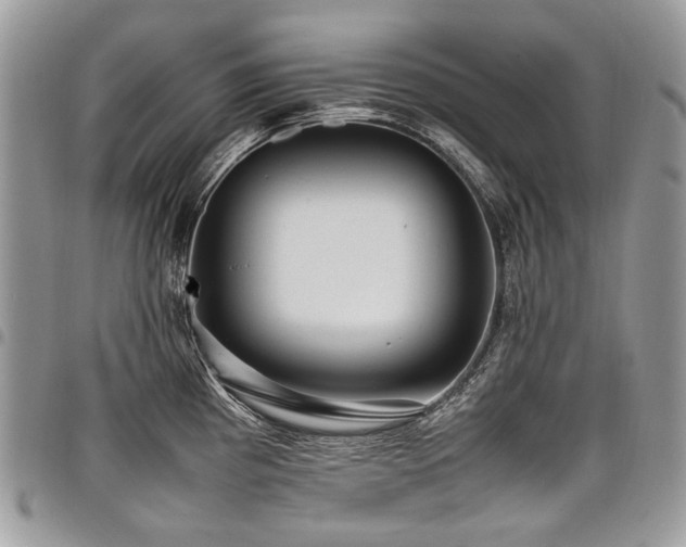 X0000098021193200803281327